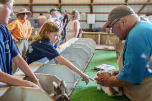 Cora_Cooper with her rabbit Charlie